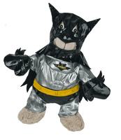 
              Bat Boy Outfit | Bear World.
            