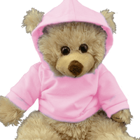Light Pink Hoodie | Bear World.