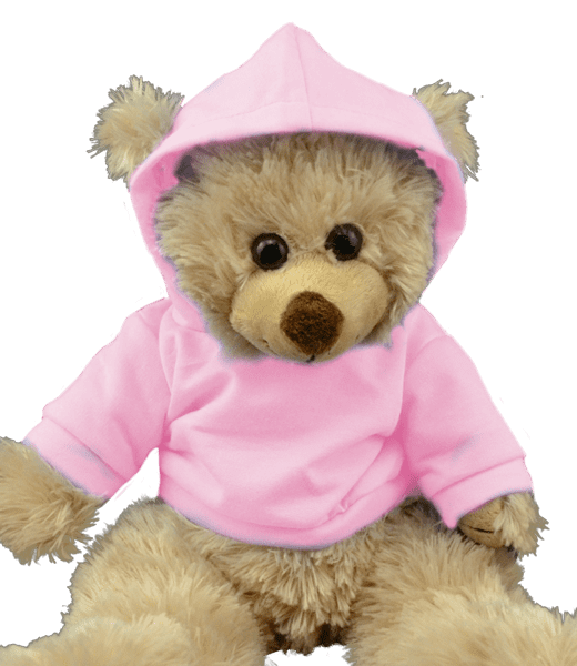 Light Pink Hoodie | Bear World.
