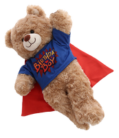 
              Birthday Boy Hero Tee W/Cape | Bear World.
            