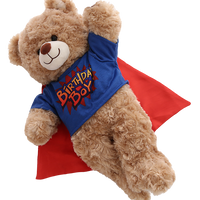 Birthday Boy Hero Tee W/Cape | Bear World.