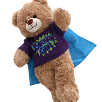 Birthday Girl Hero Tee W/ Cape | Bear World.