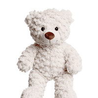 Teddy Bear Kit | Bear World.