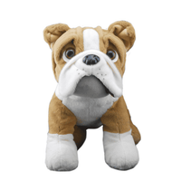 Buddy Bulldog Bear Kit | Bear World.