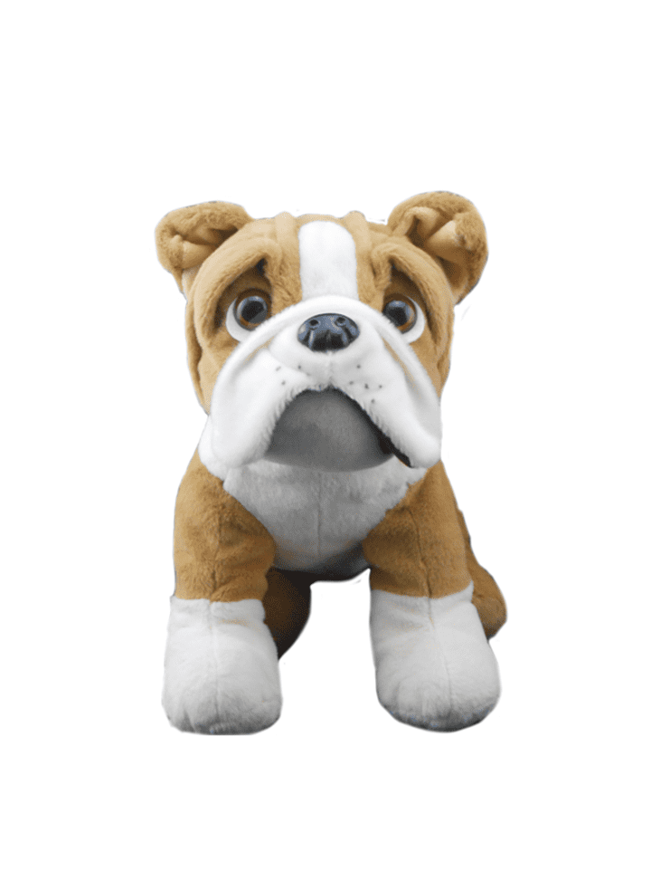 British bulldog teddy bear deals