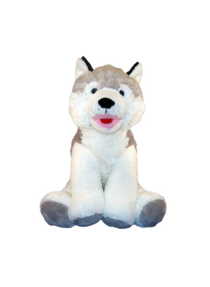 Teddy bear husky deals