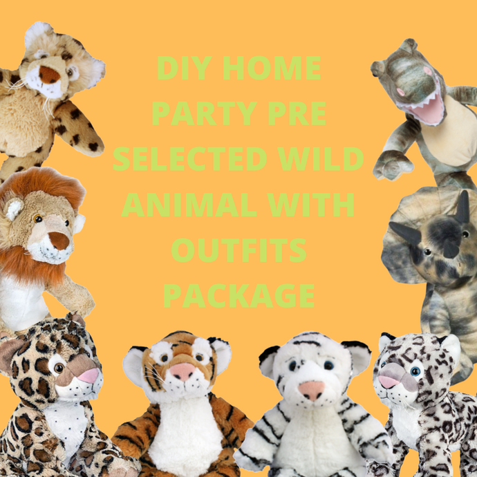 DIY Home Party Packages & Outfits Pre-Selected | Bear World.