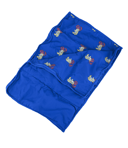 Blue Sleeping Bag | Bear World.