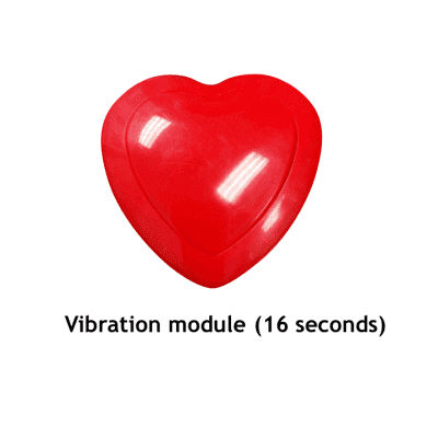 Heart Beat Sound Module | Bear World.