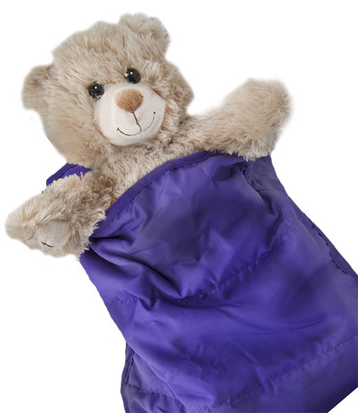 Purple Sleeping Bag | Bear World.