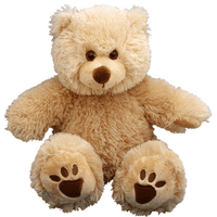 Dino Skater Hoodie Brown Bear Gift Set | Bear World.